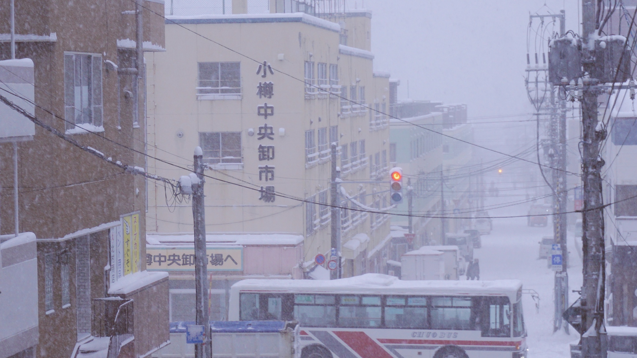 北海道自助遊攻略