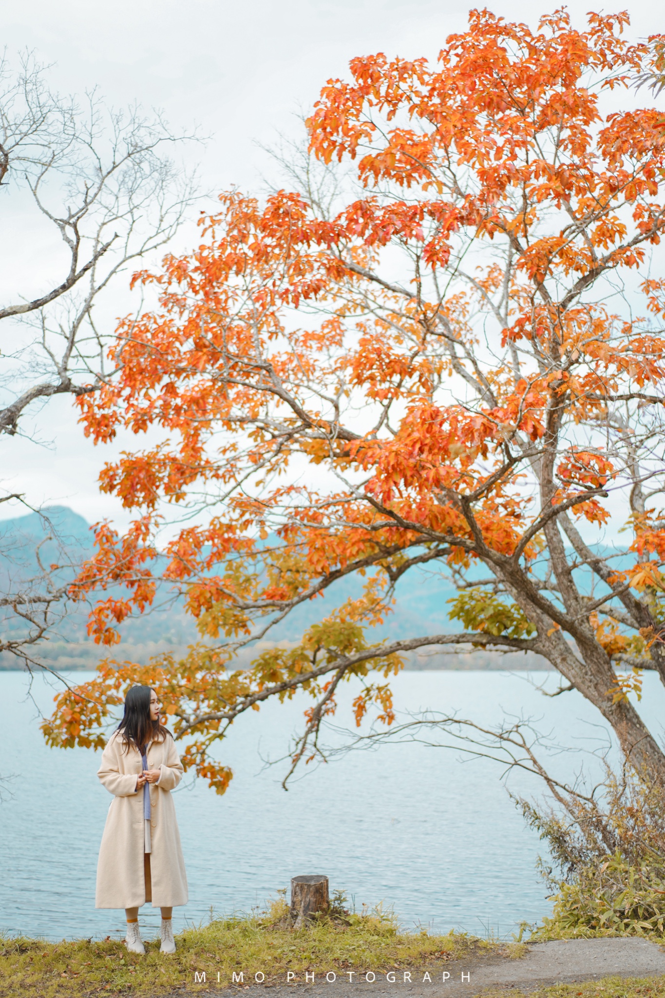 北海道自助遊攻略