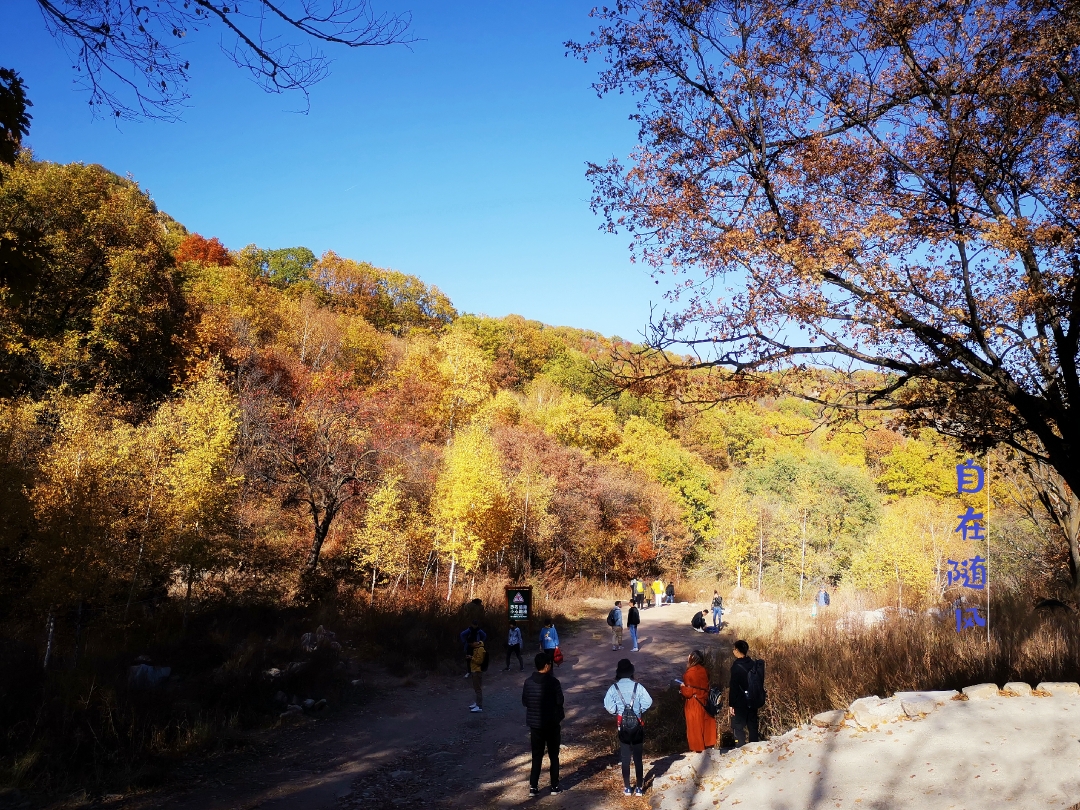 北京郊区游怀柔喇叭沟门秋色图集