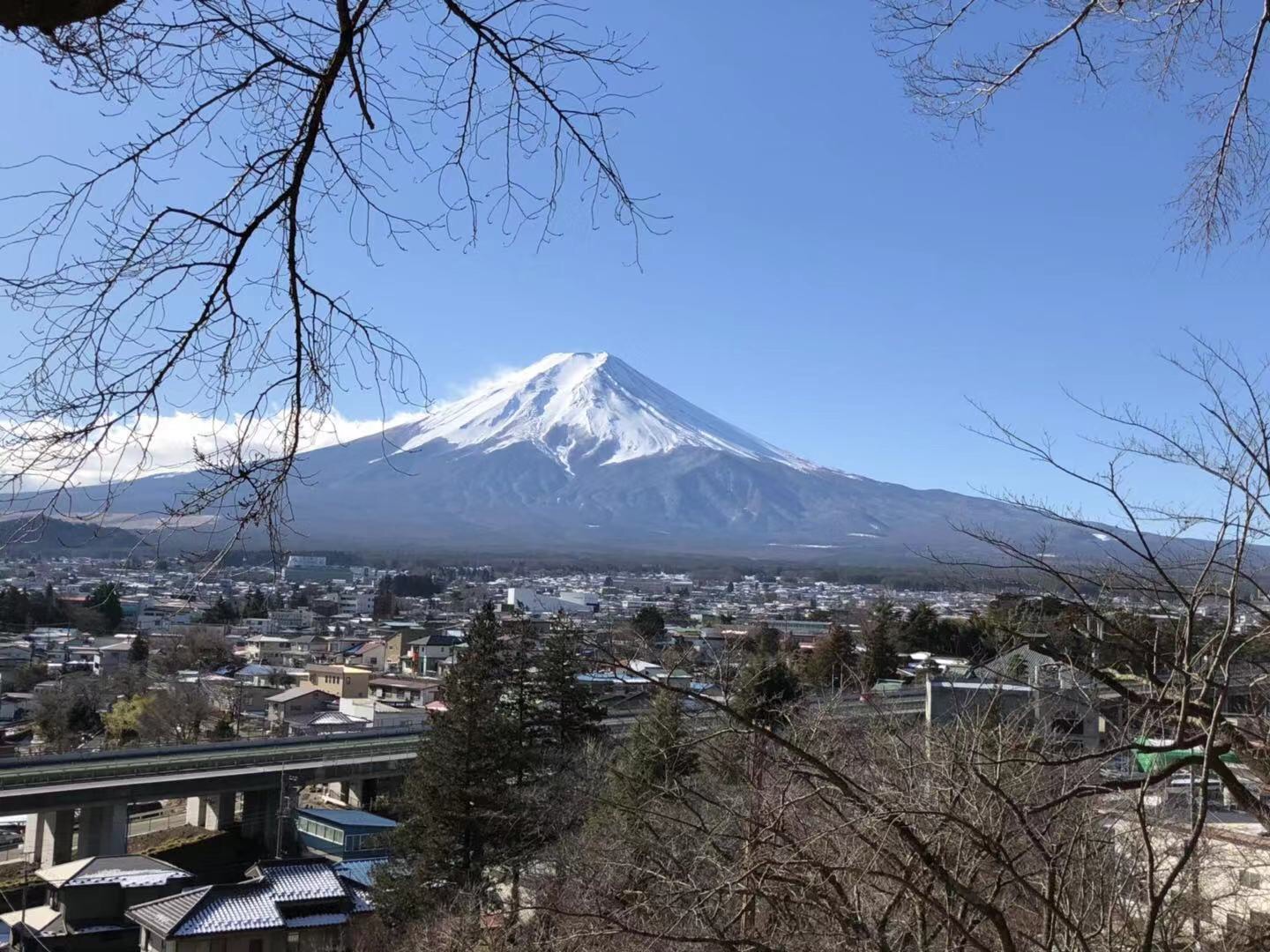 東京自助遊攻略