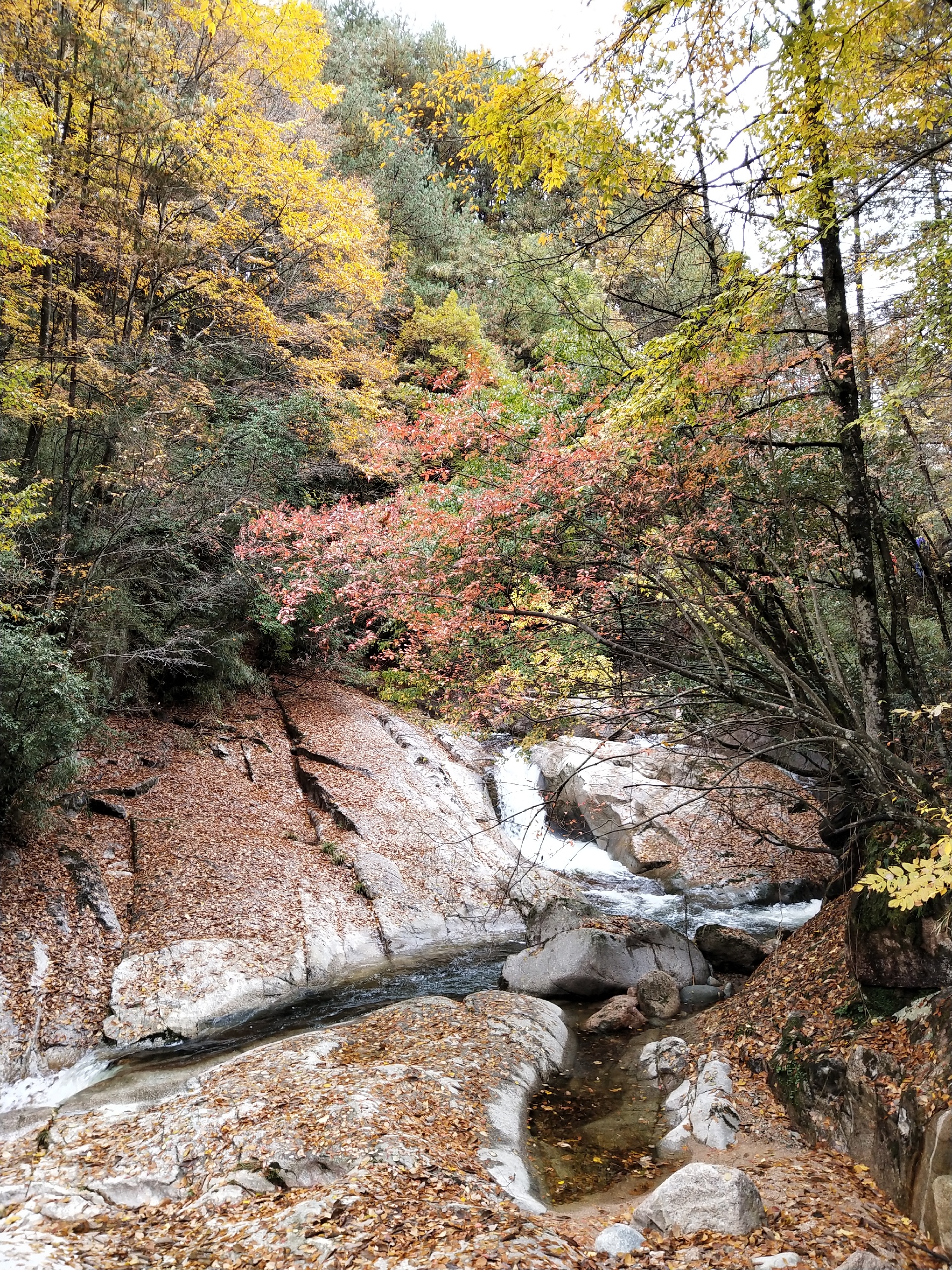 南江美食-宏源轩农家乐