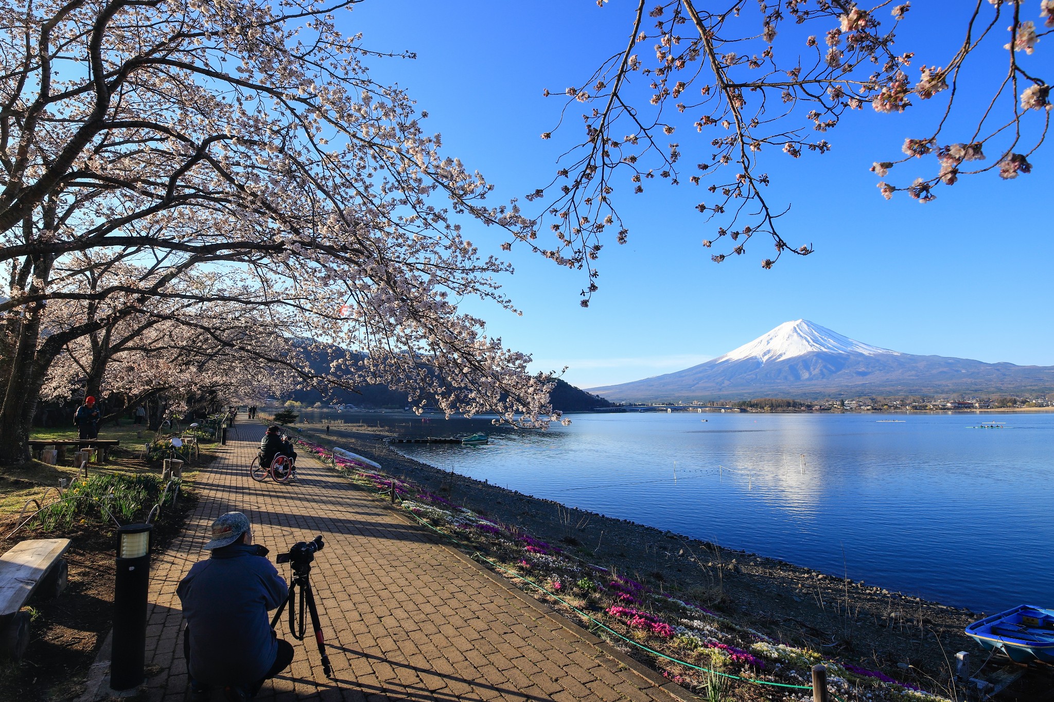 富士山自助遊攻略