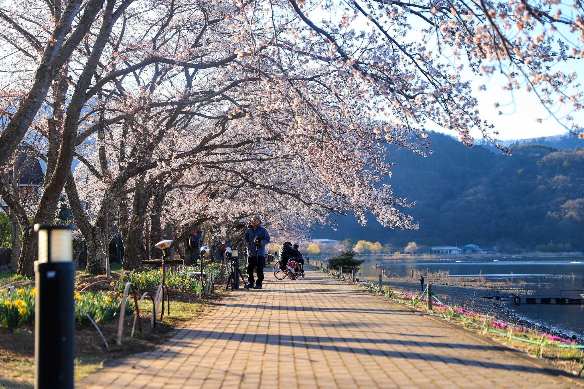 富士山自助遊攻略