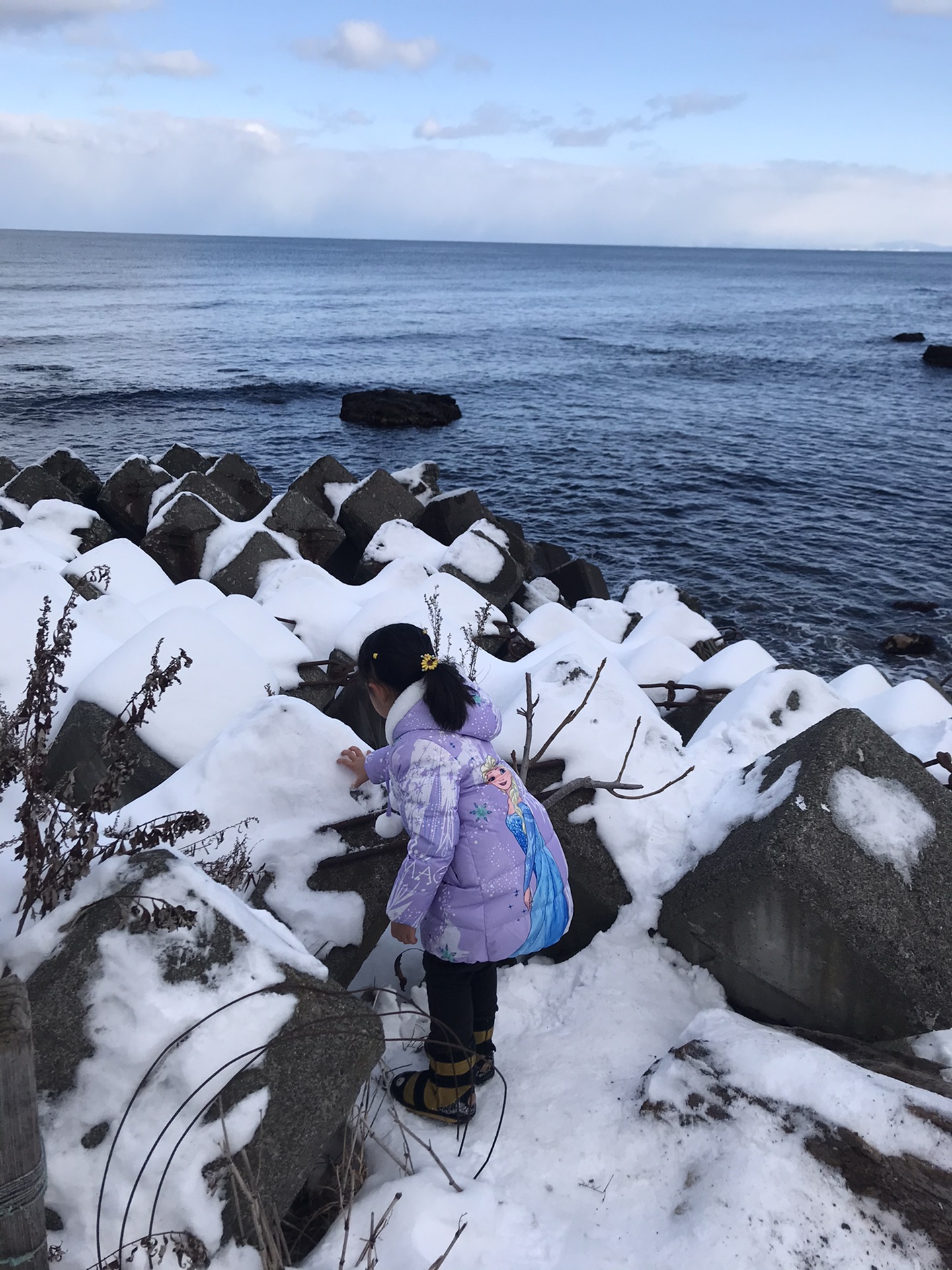 北海道自助遊攻略