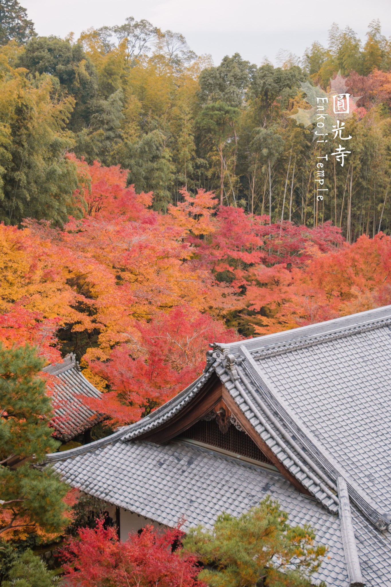 京都自助遊攻略