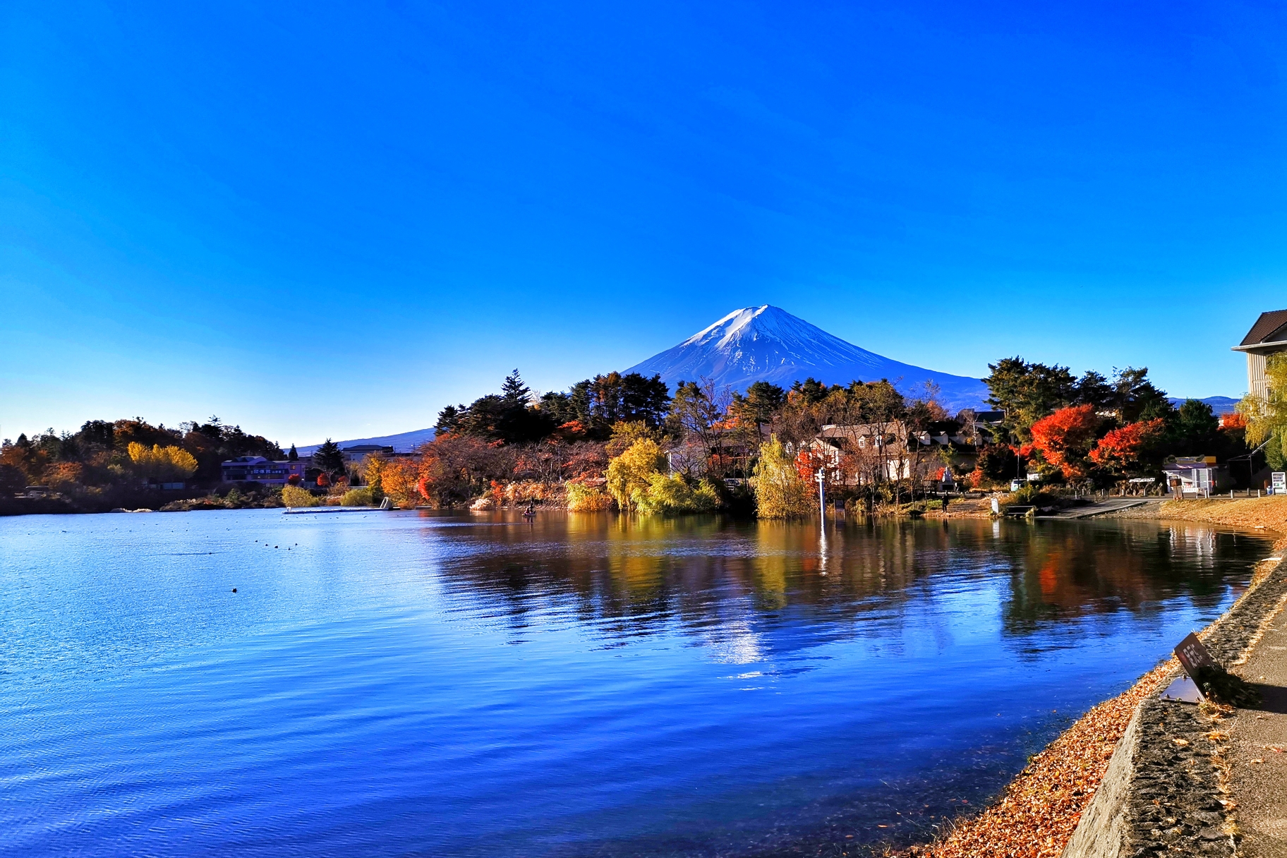 富士山自助遊攻略