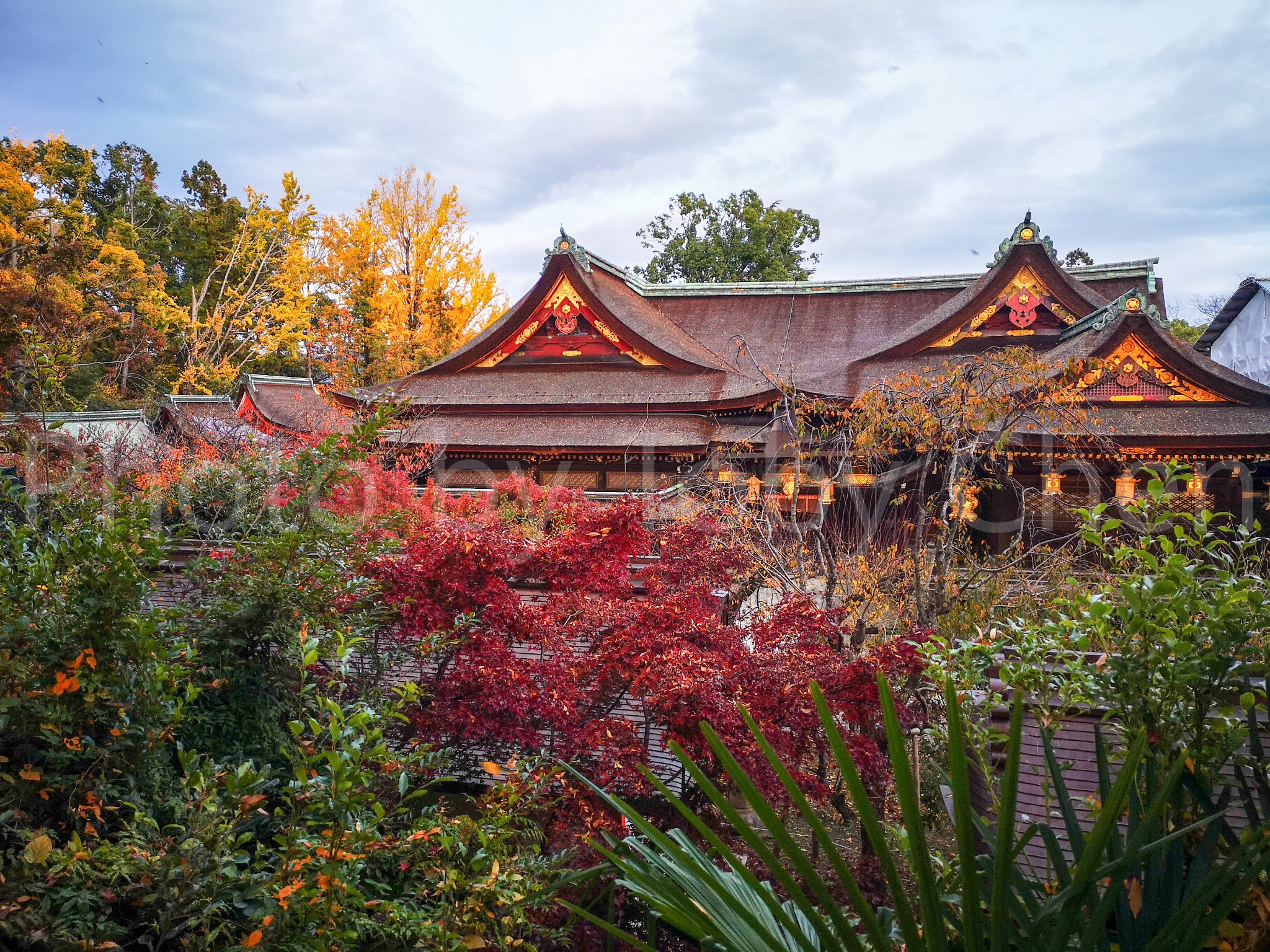 京都自助遊攻略