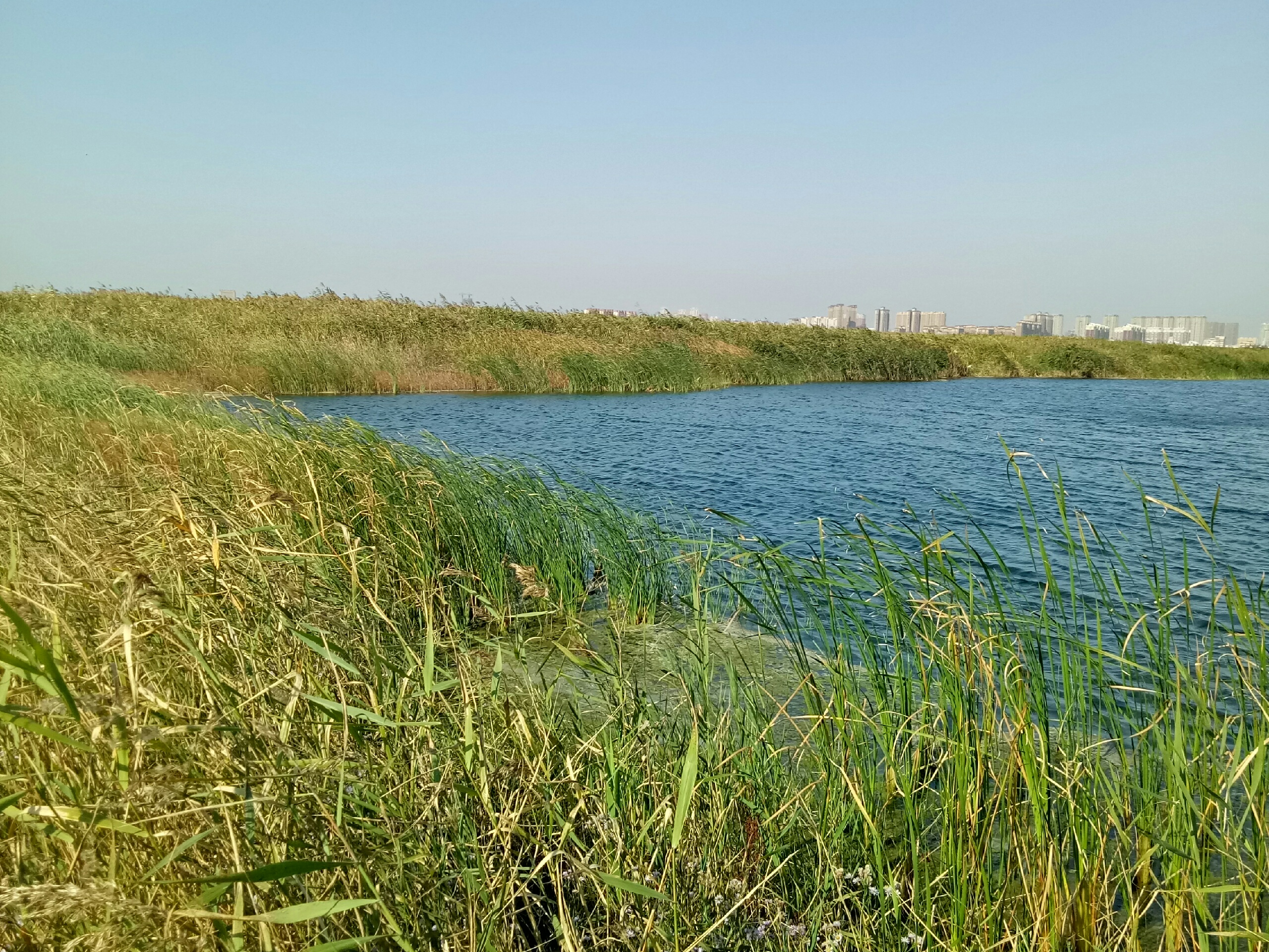 东港市海洋红农场