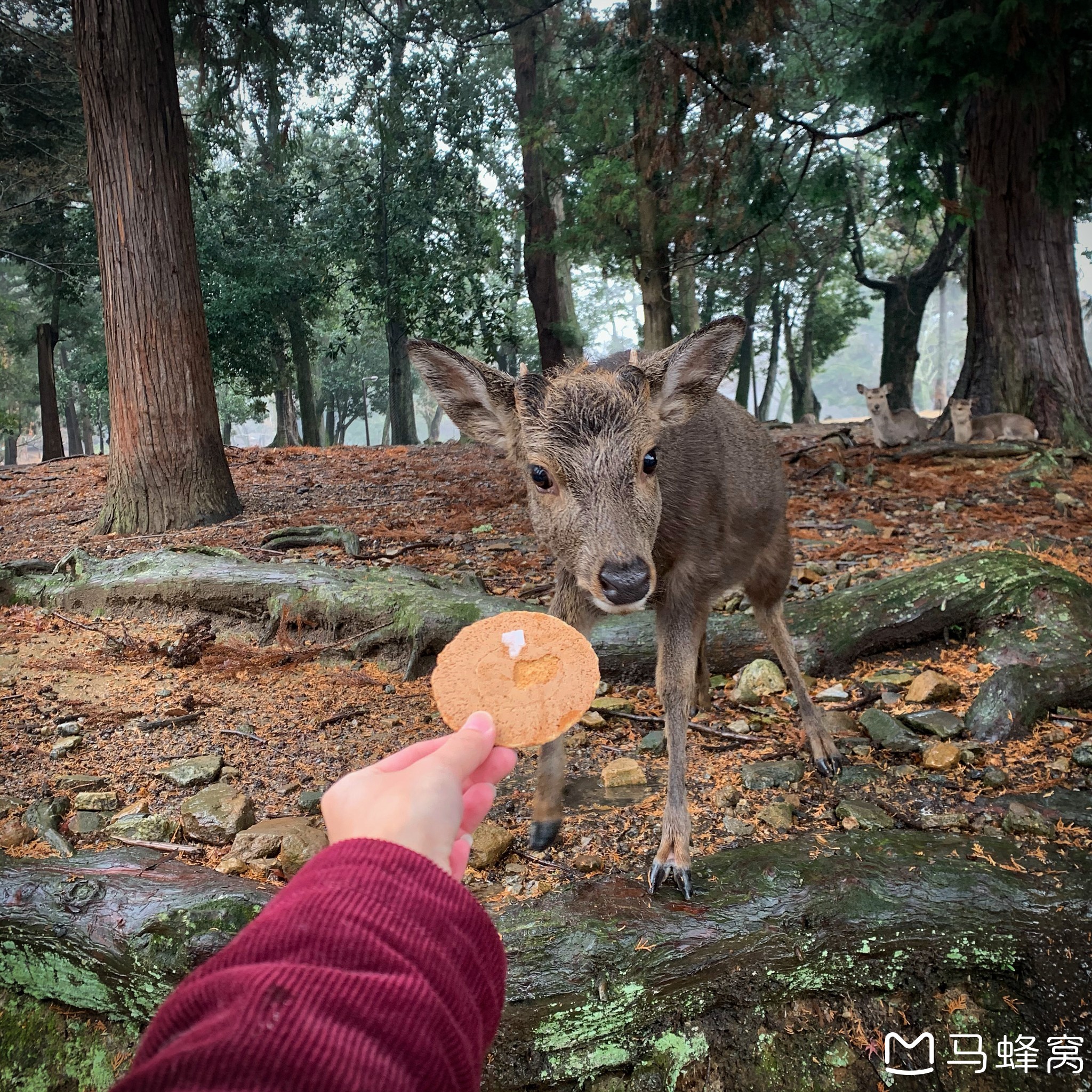 大阪自助遊攻略