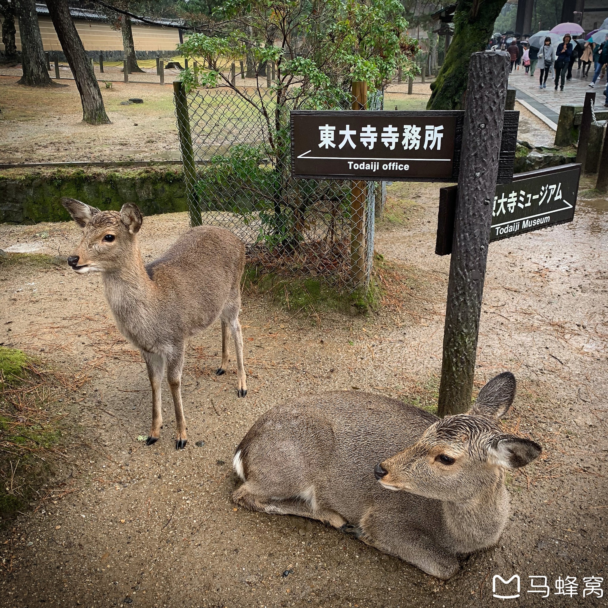 大阪自助遊攻略