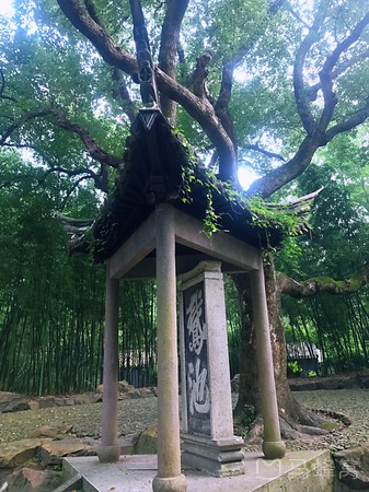 曲水流觞旅游图片,曲水流觞自助游图片,曲水流觞旅游景点照片 - 马
