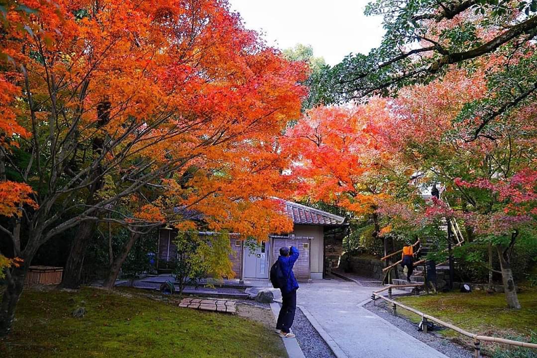 京都自助遊攻略