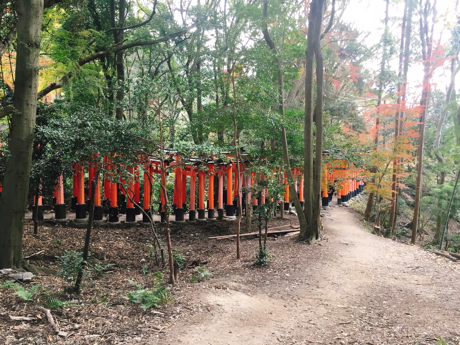 京都自助遊攻略