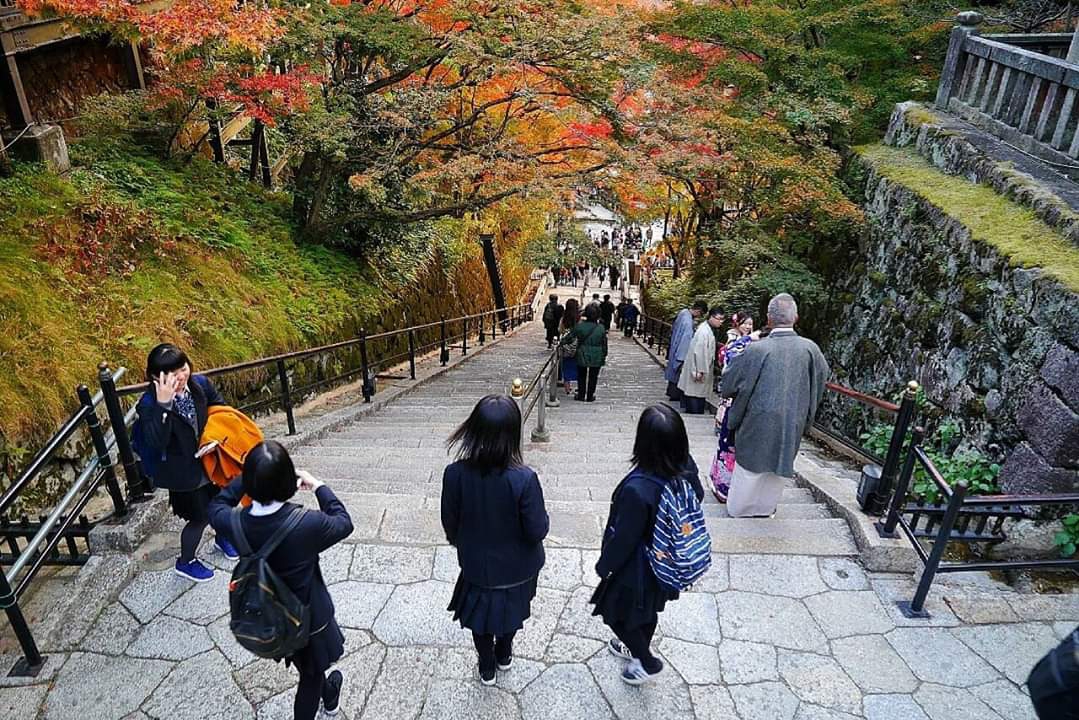 京都自助遊攻略