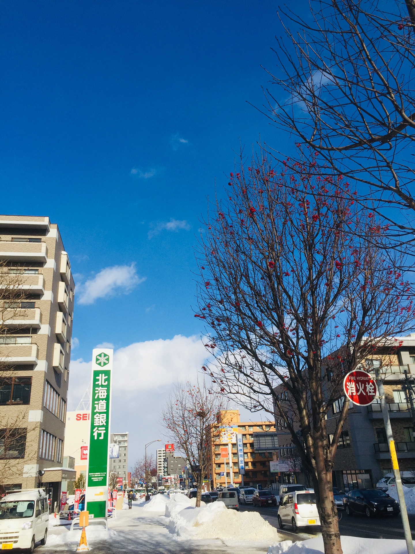 北海道自助遊攻略