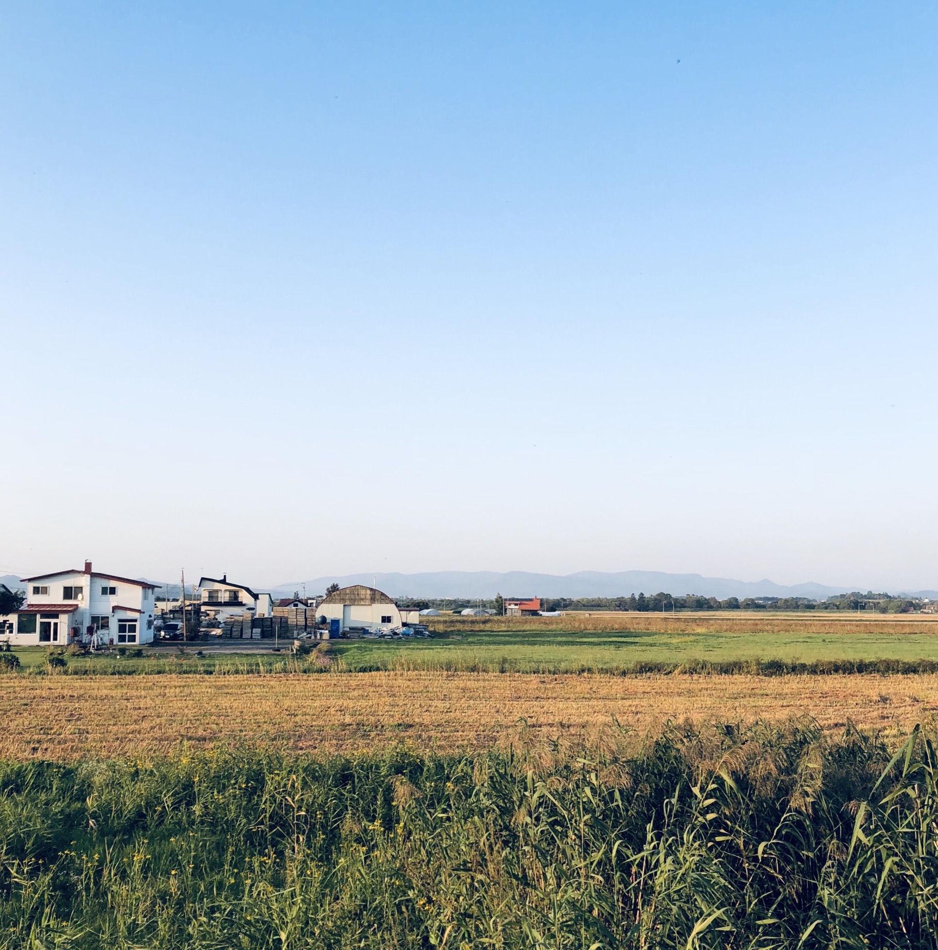 北海道自助遊攻略