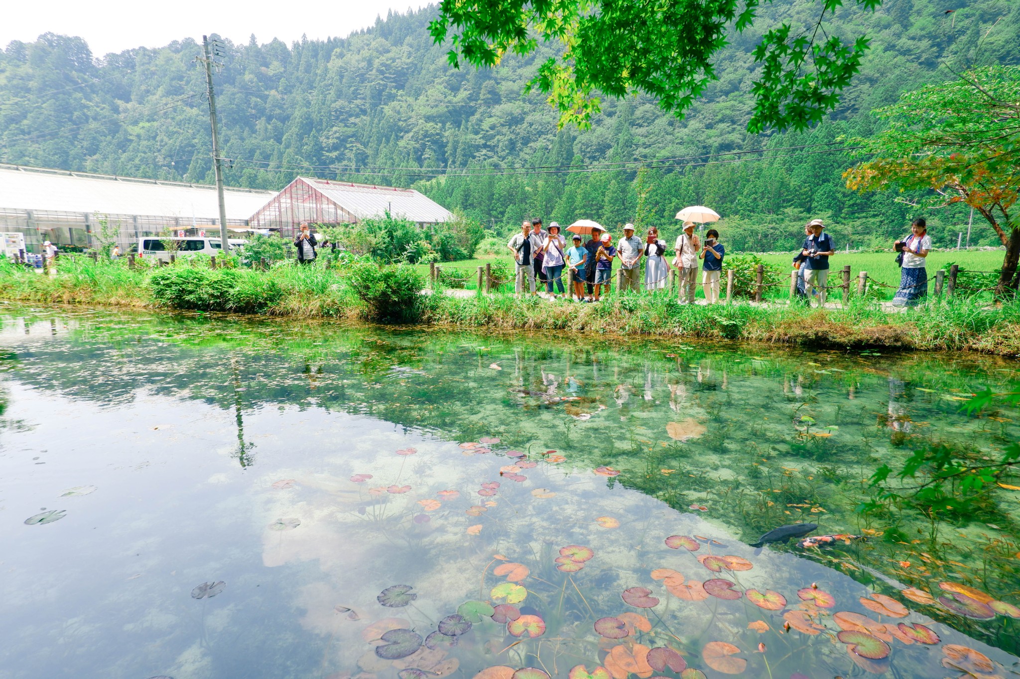 岐阜县 自由行攻略