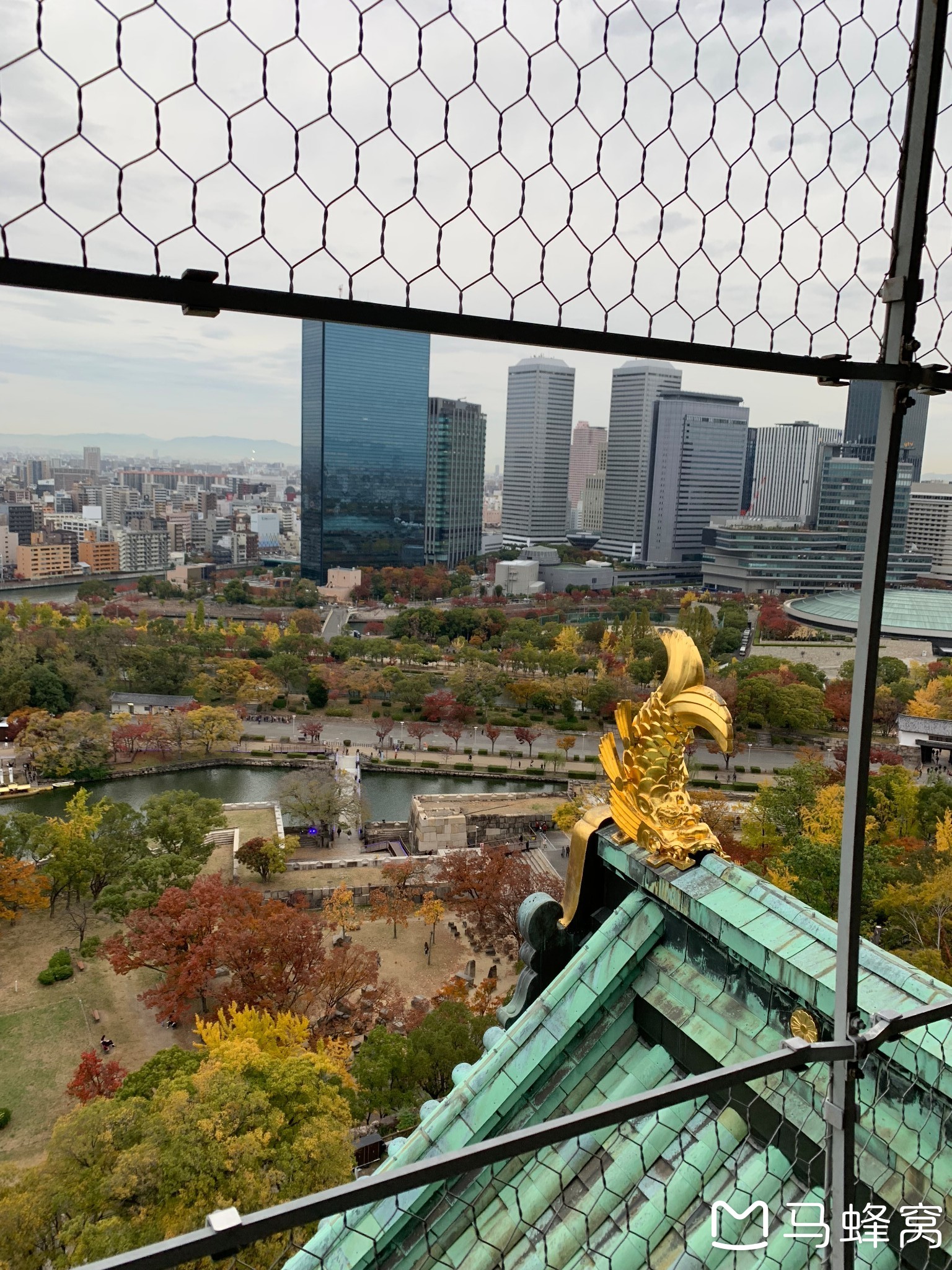 東京自助遊攻略