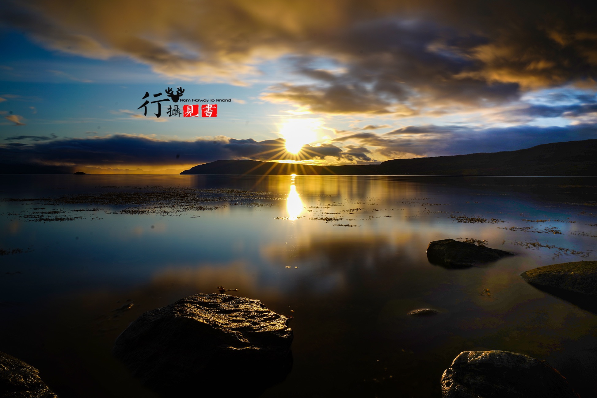 Steinbiten Steinbiten