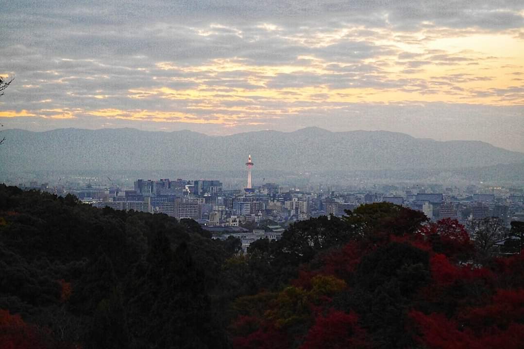 京都自助遊攻略