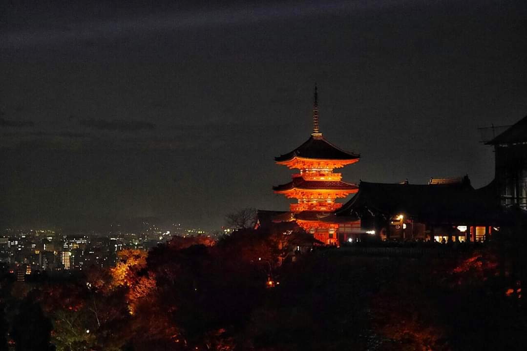 京都自助遊攻略