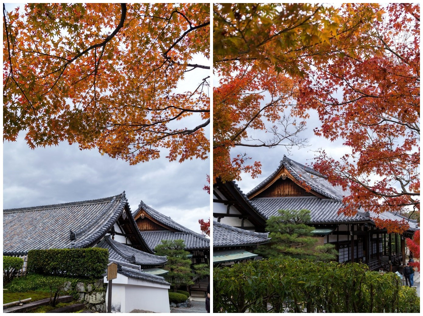 京都自助遊攻略