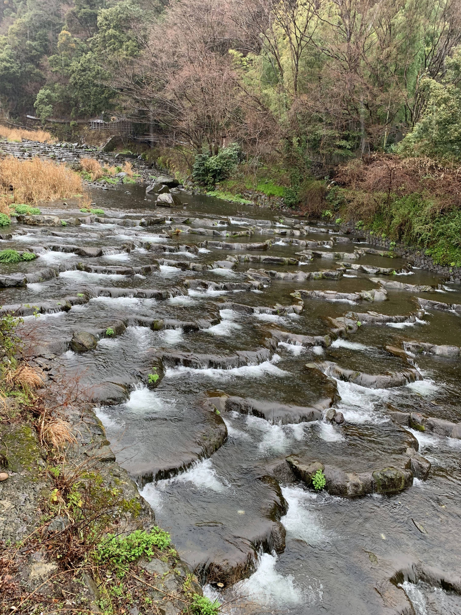 富士山自助遊攻略