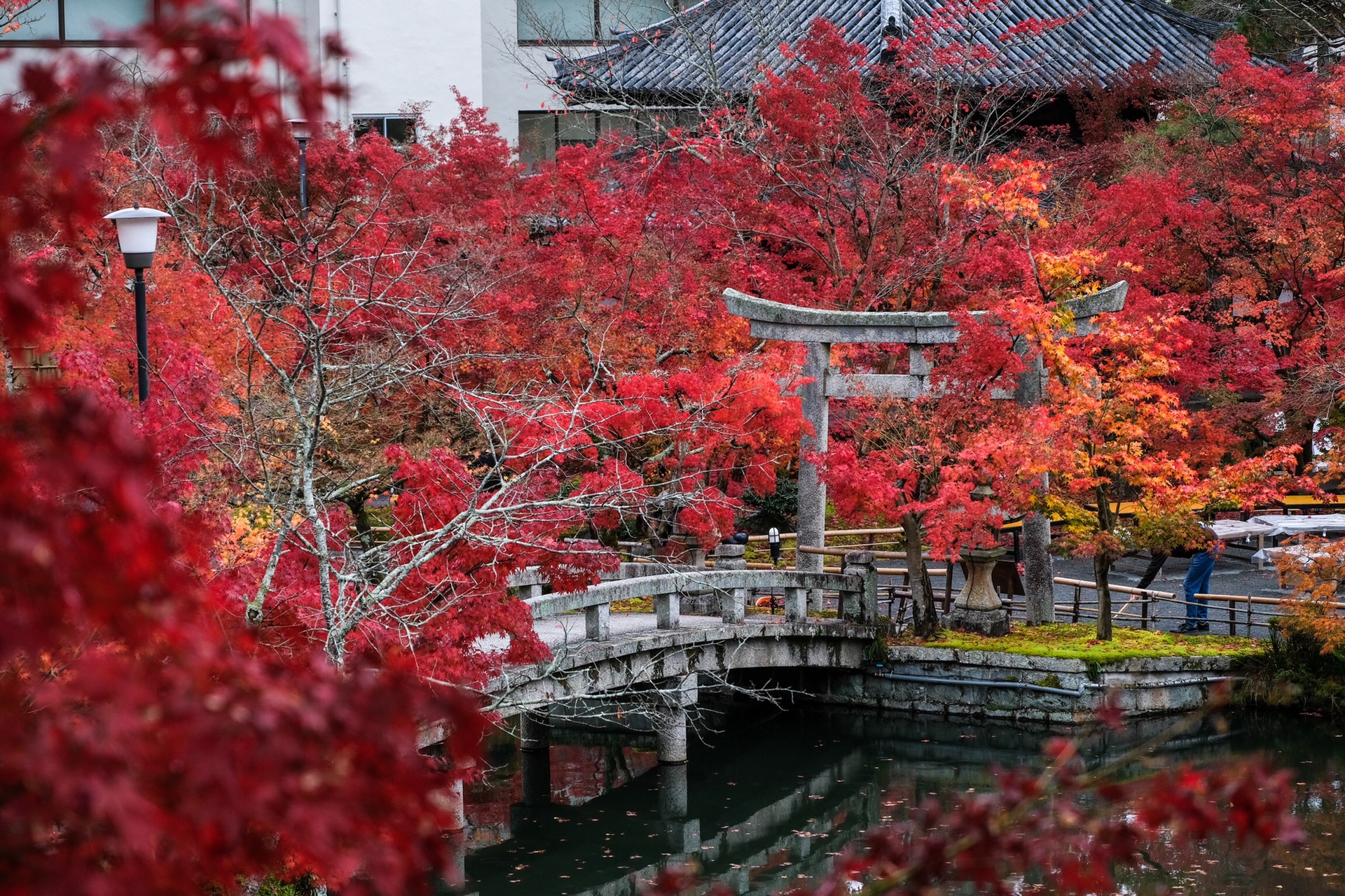 京都自助遊攻略