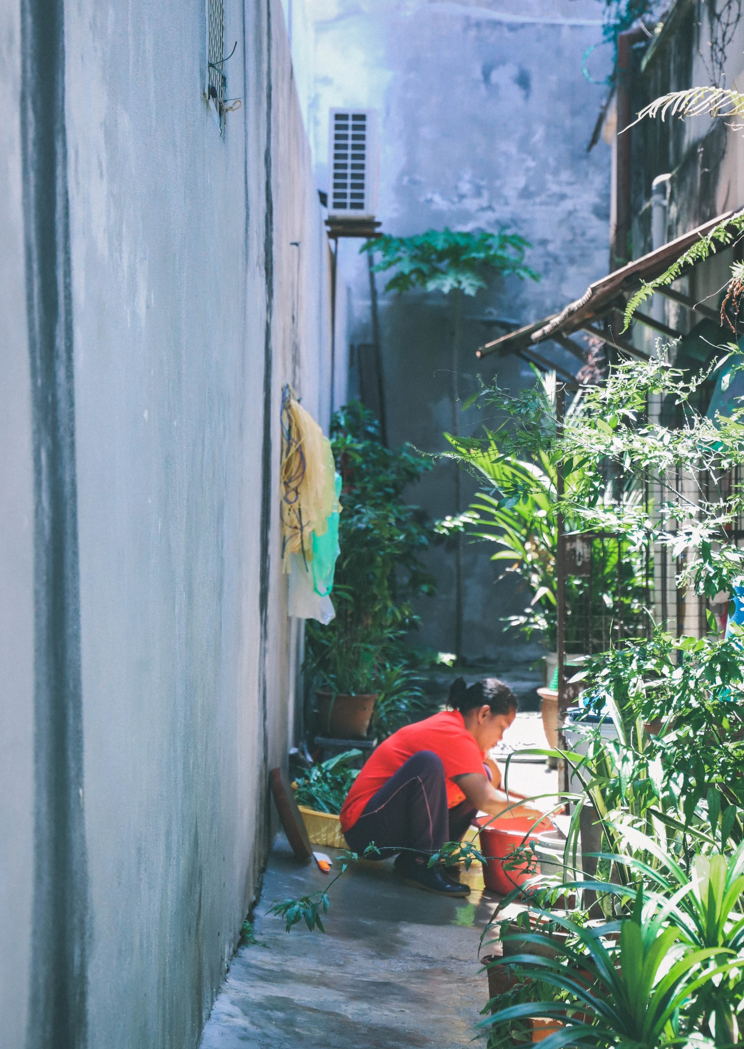 檳城自助遊攻略