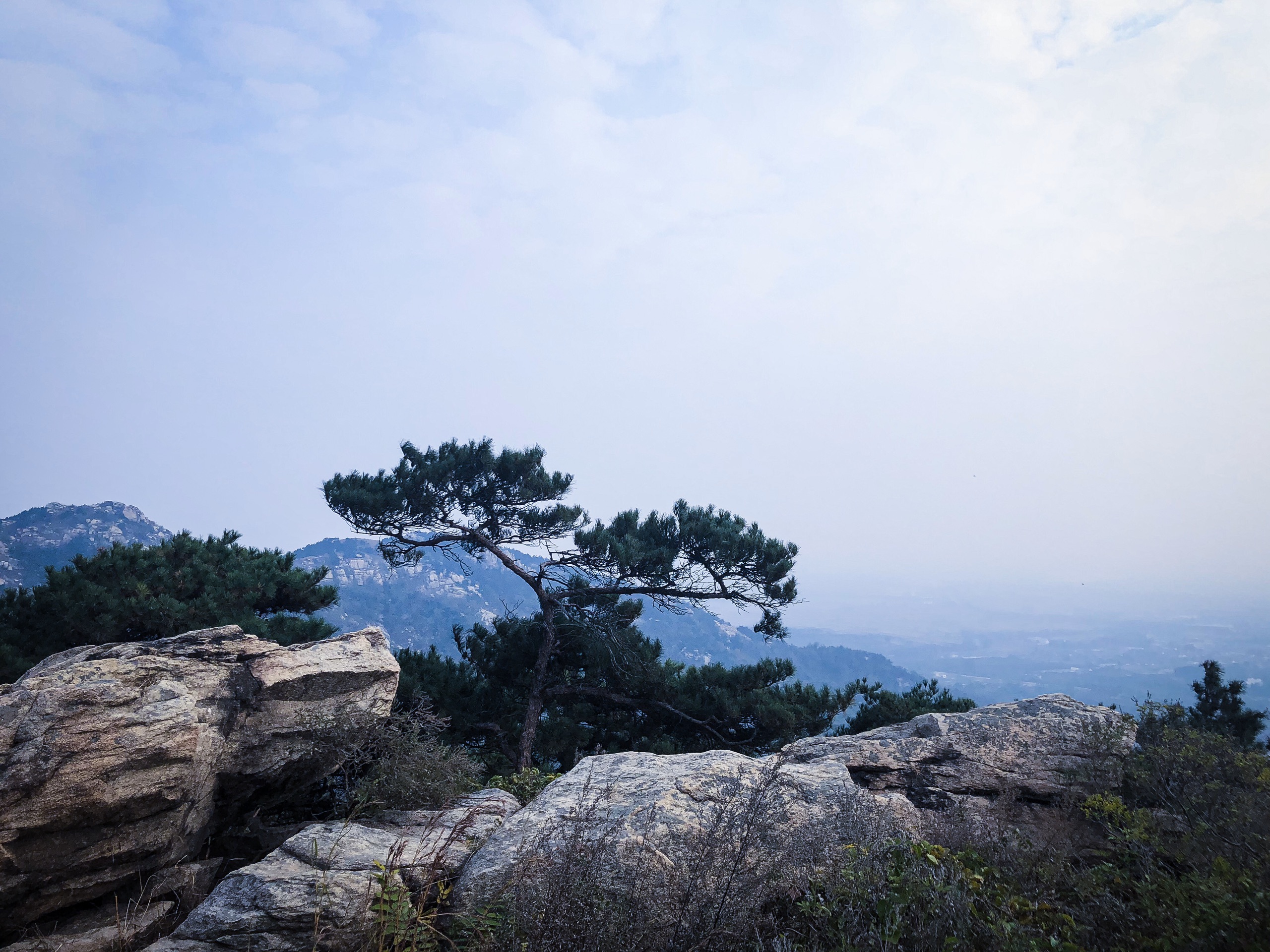 苍马山省级风景名胜区图片