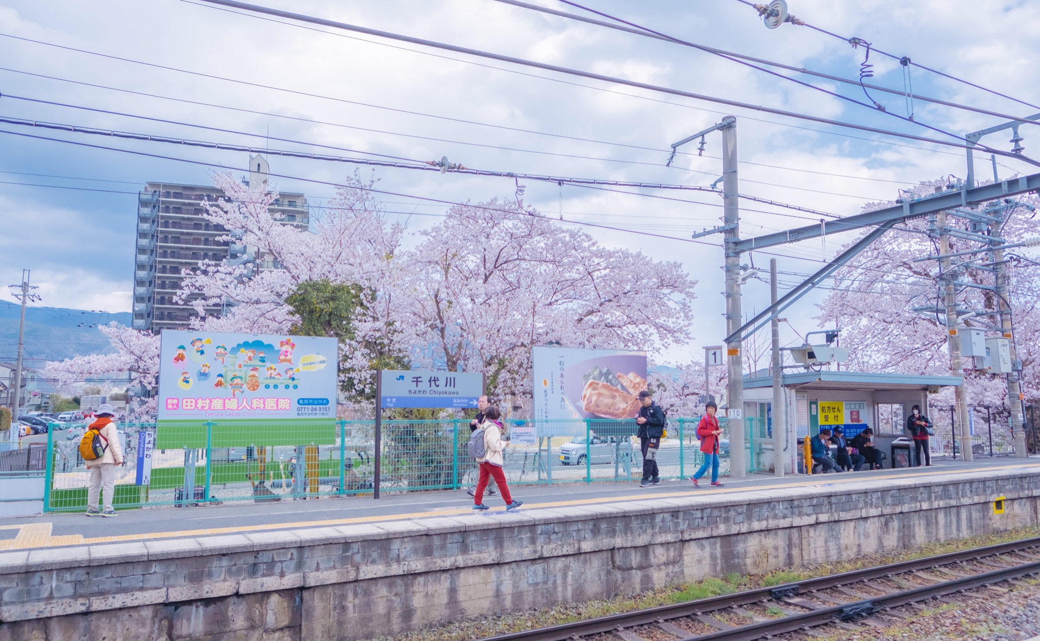 京都自助遊攻略