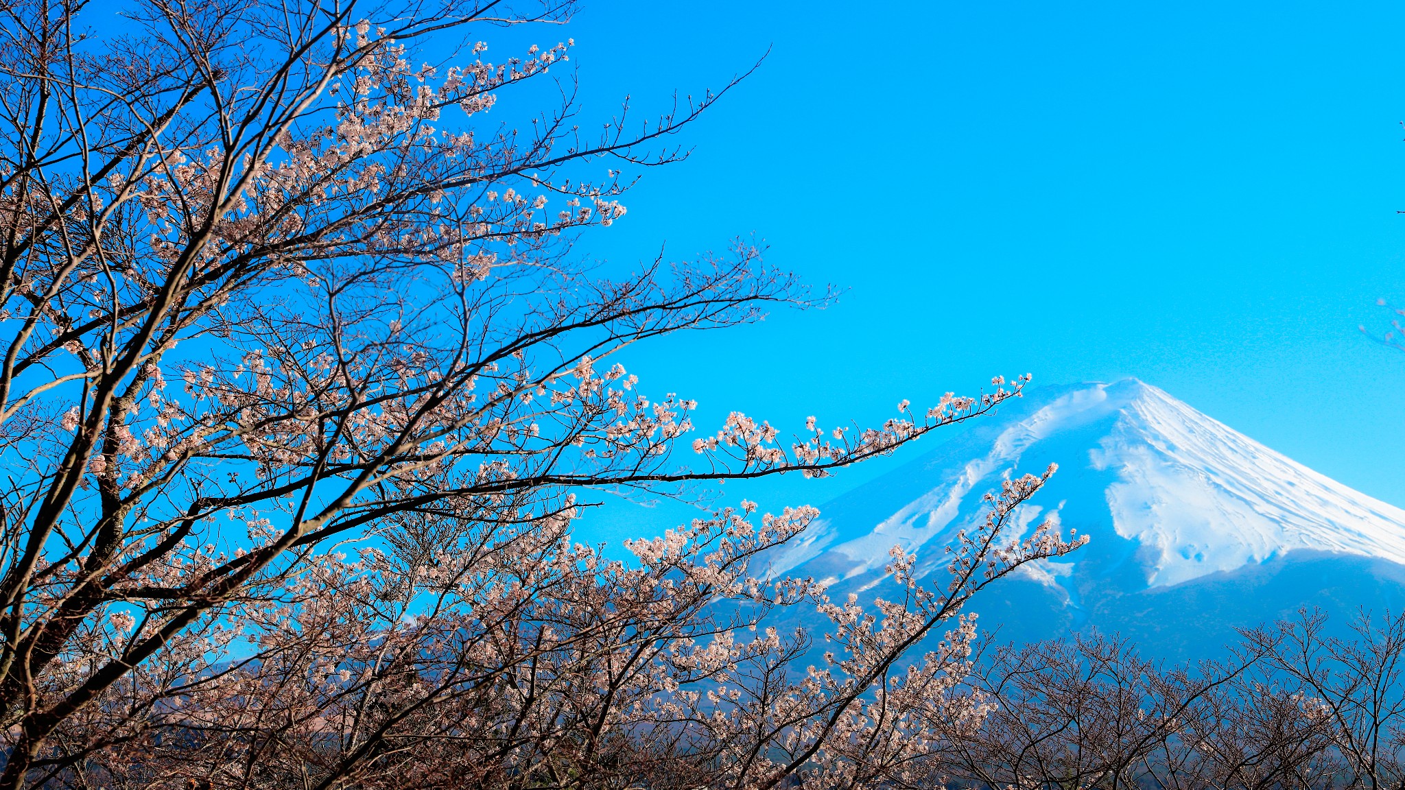 富士山自助遊攻略