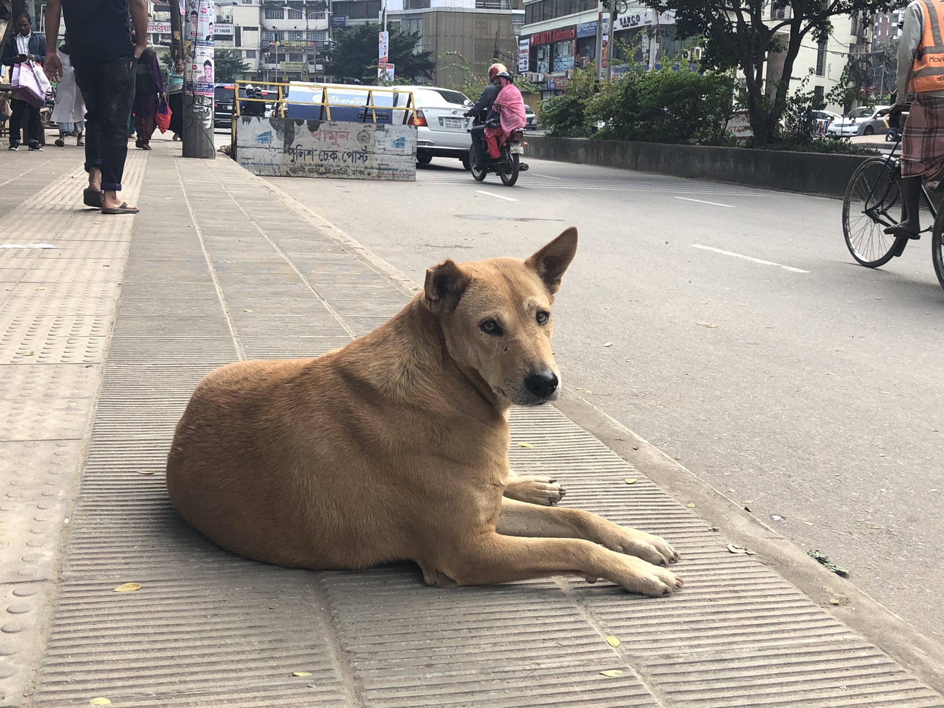 孟加拉國自助遊攻略