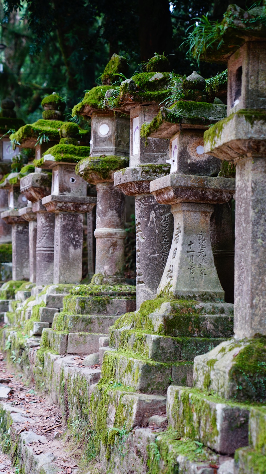 京都自助遊攻略