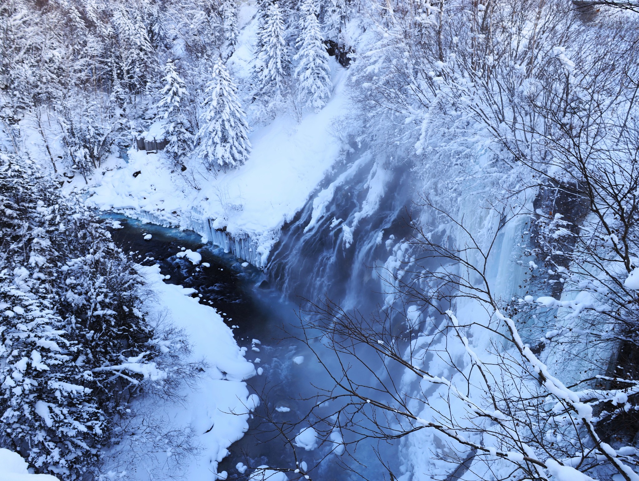 北海道自助遊攻略