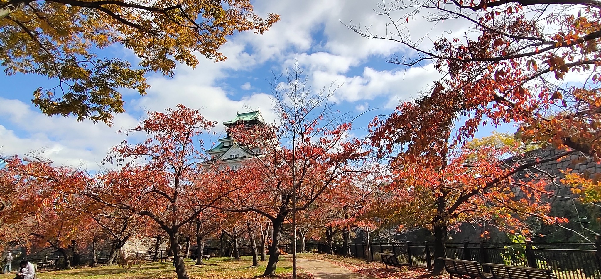 京都自助遊攻略