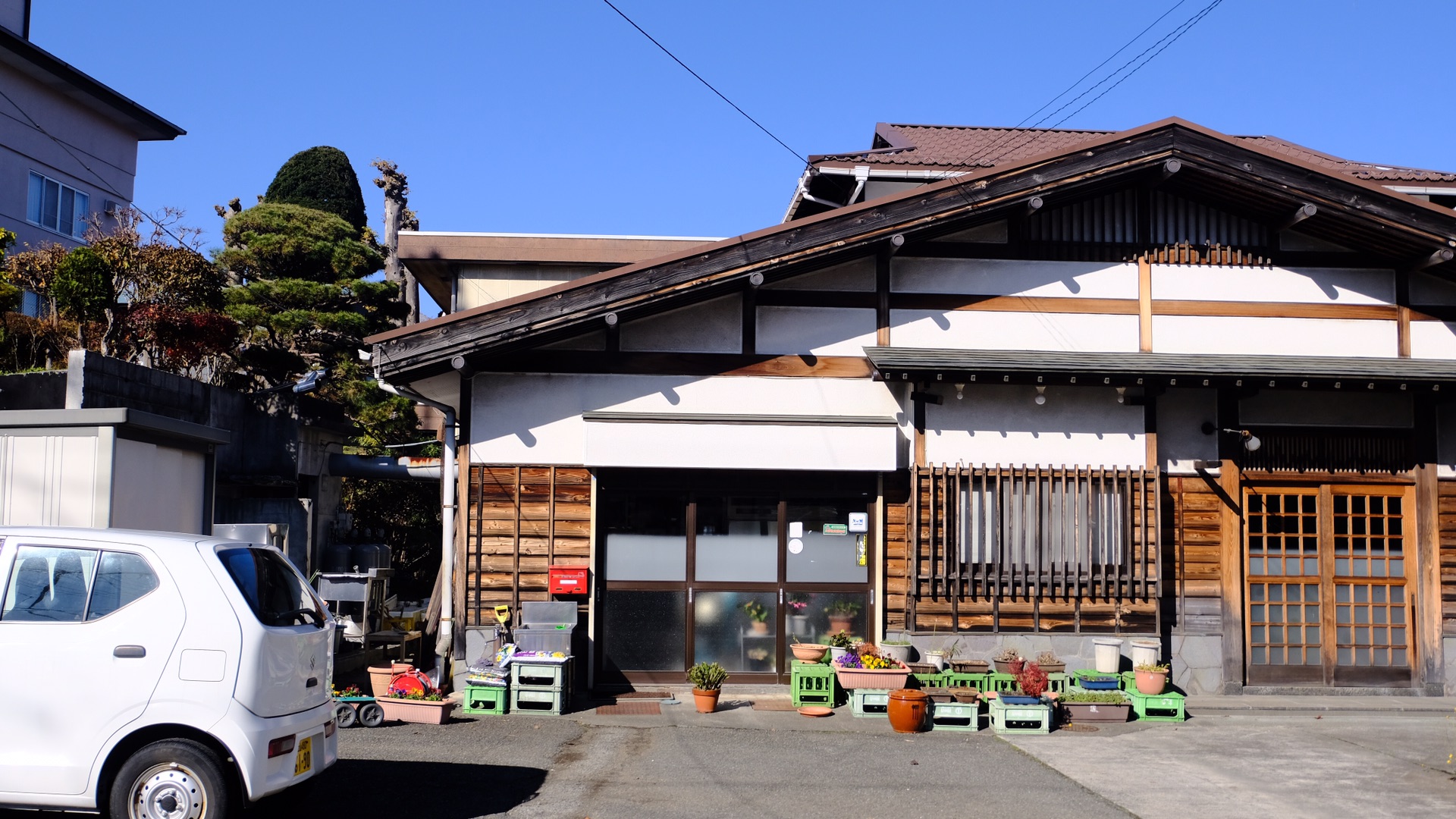 東京自助遊攻略