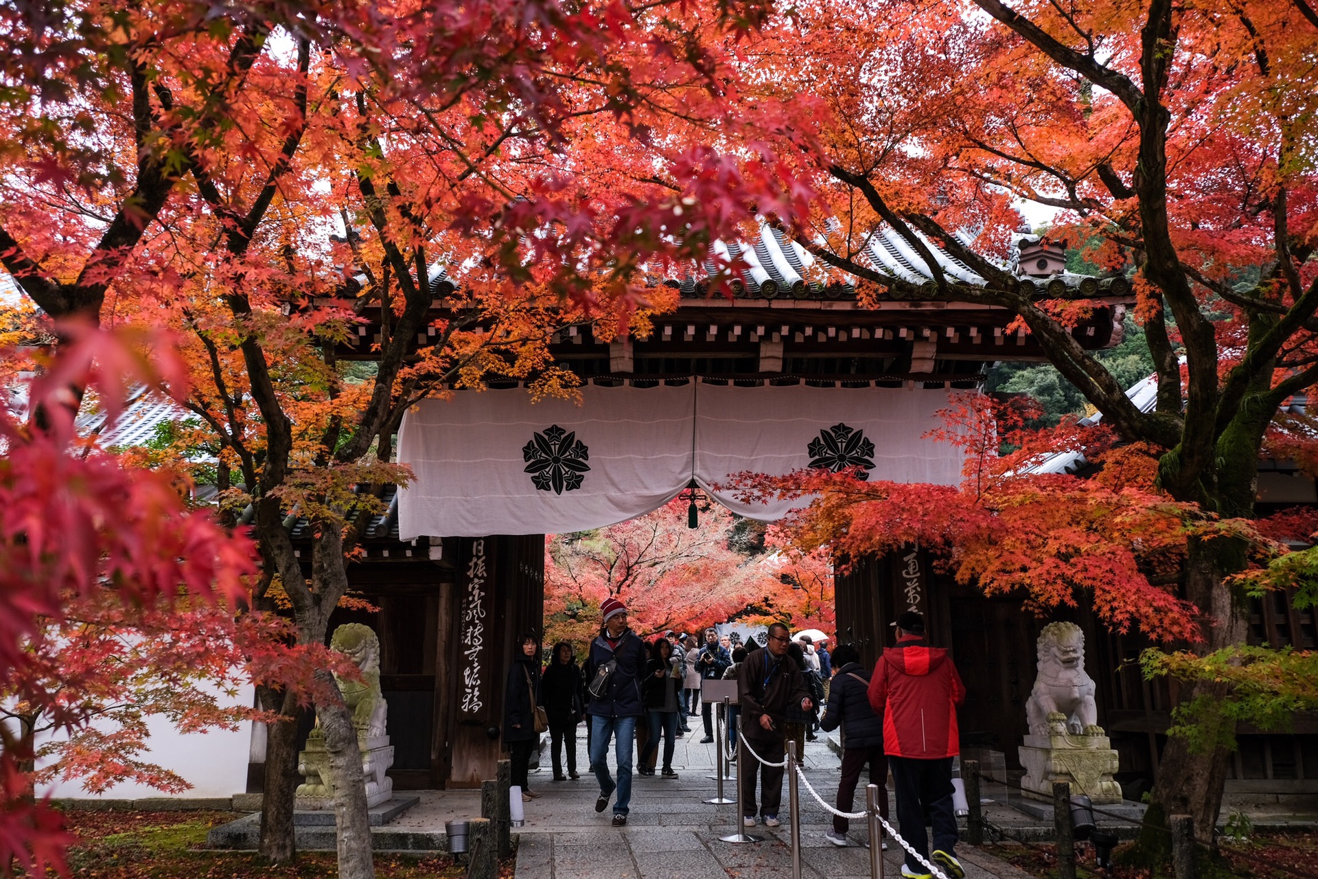 京都自助遊攻略