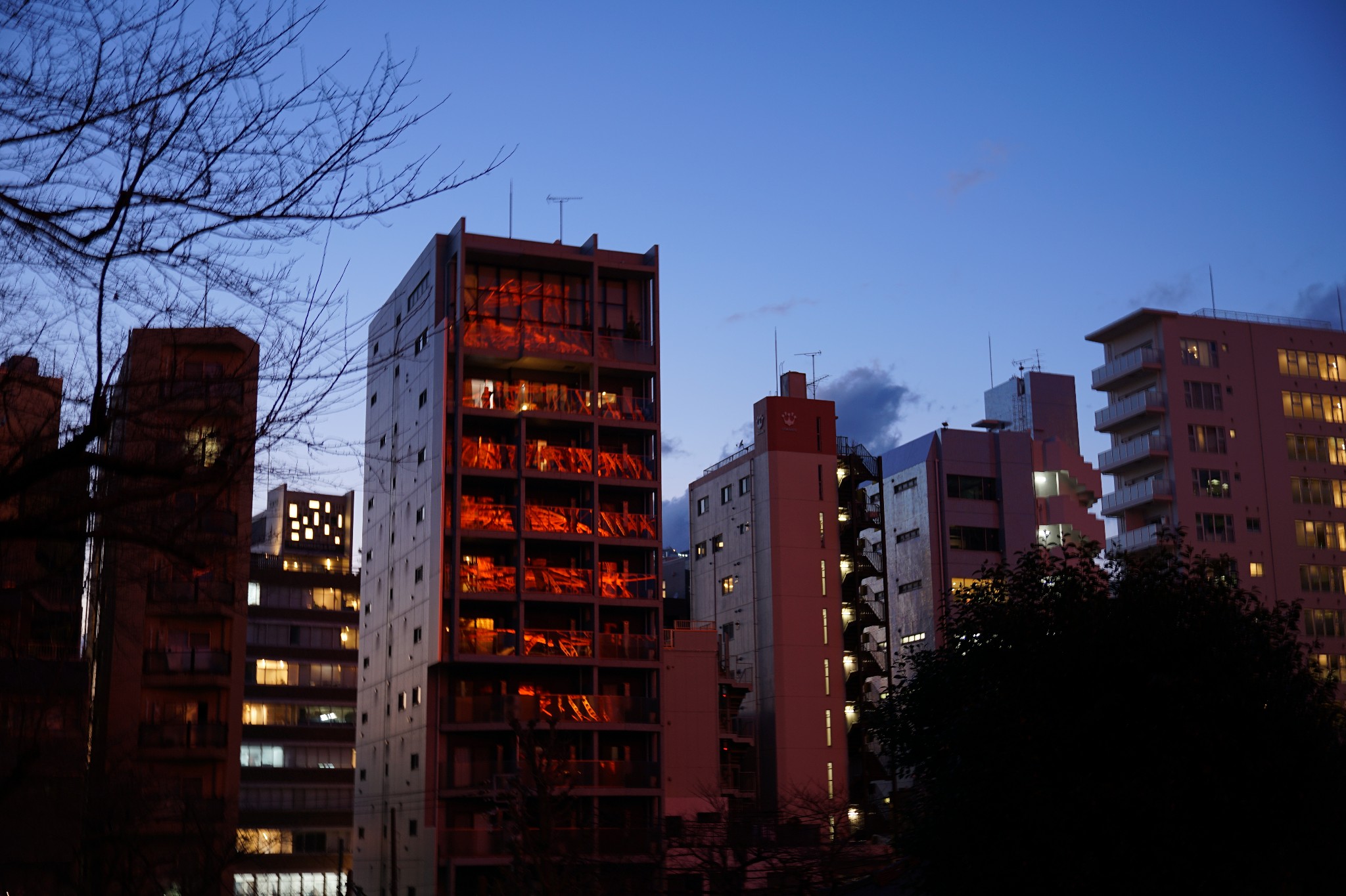 東京自助遊攻略