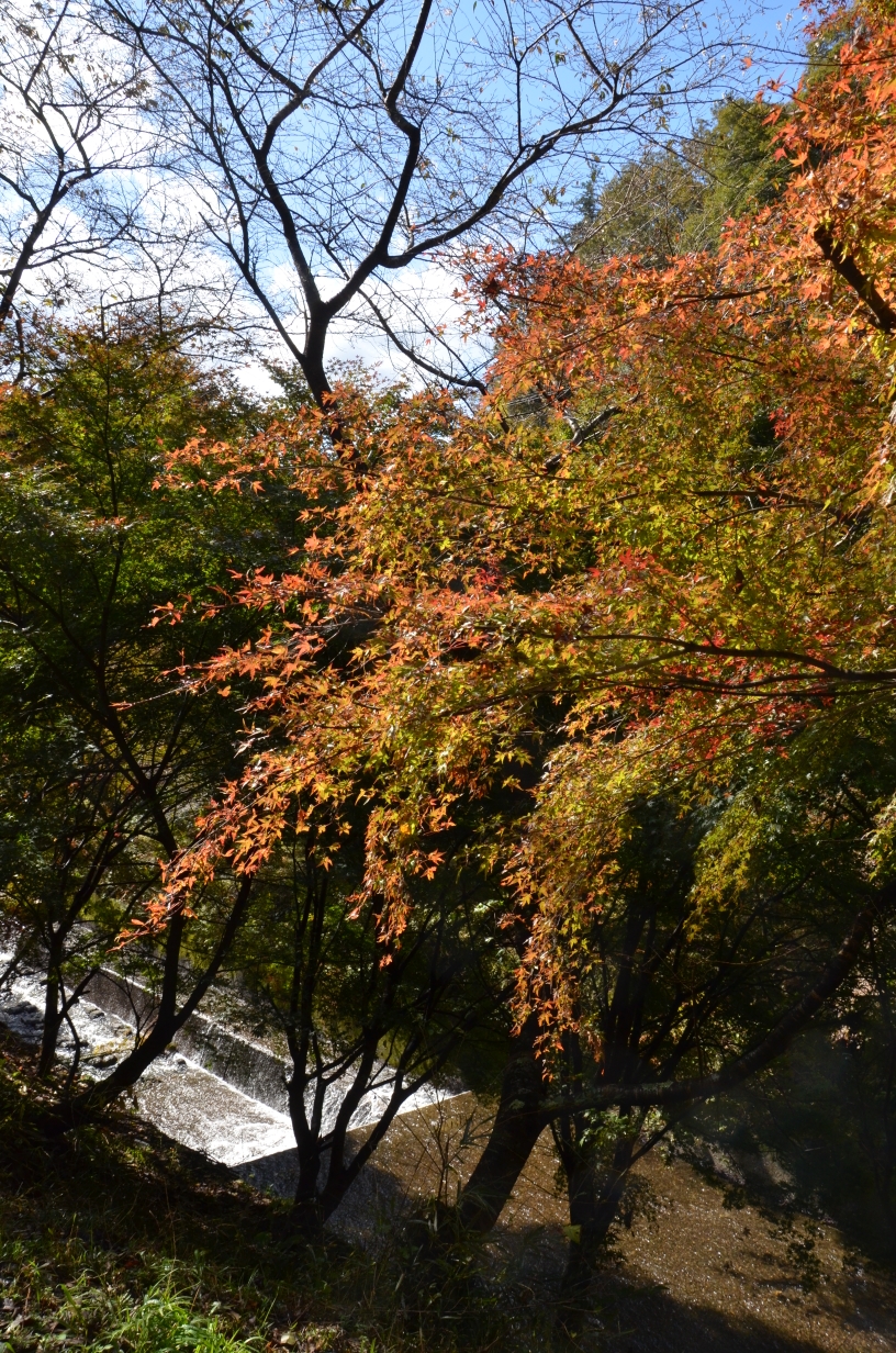 名古屋自助遊攻略