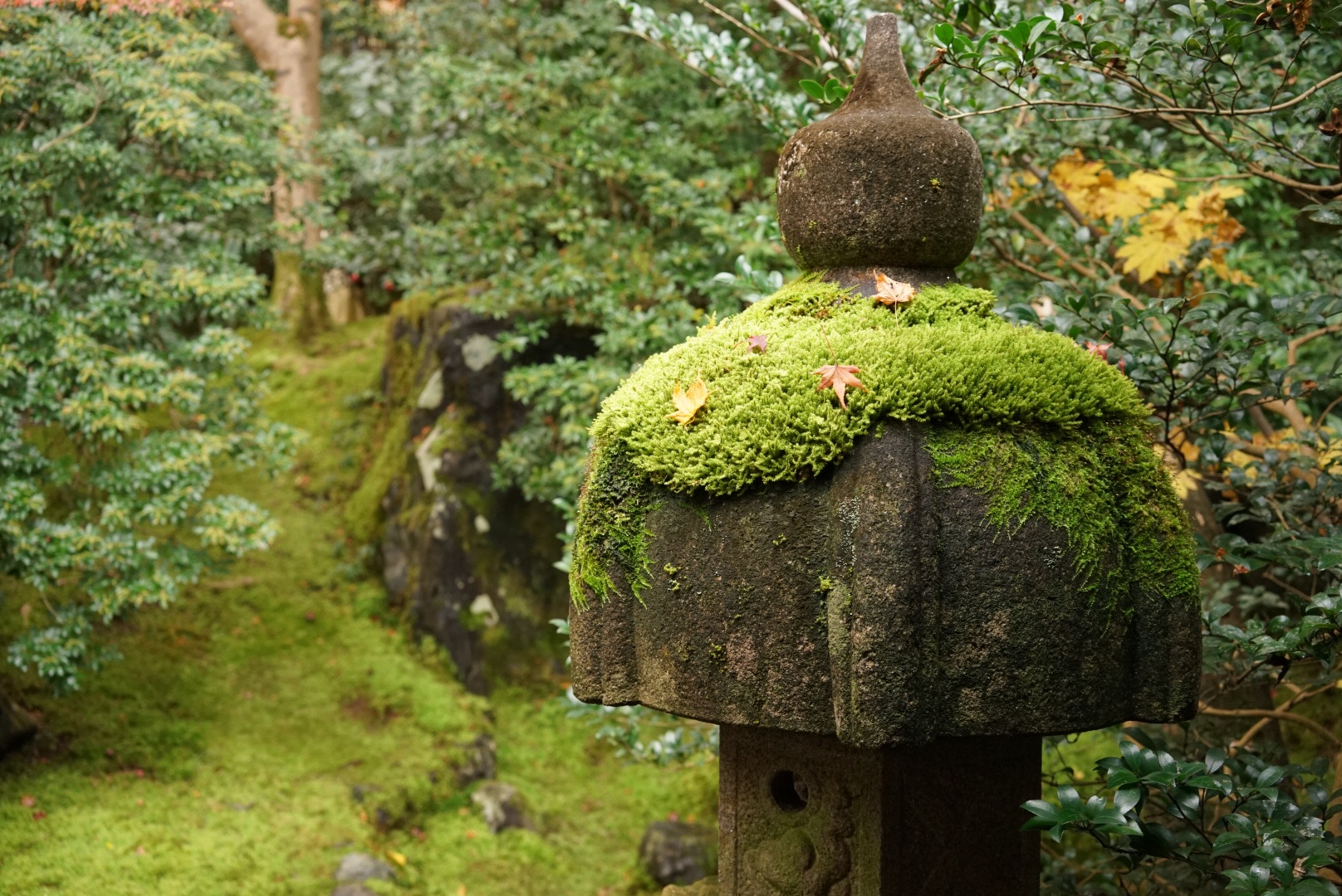 京都自助遊攻略