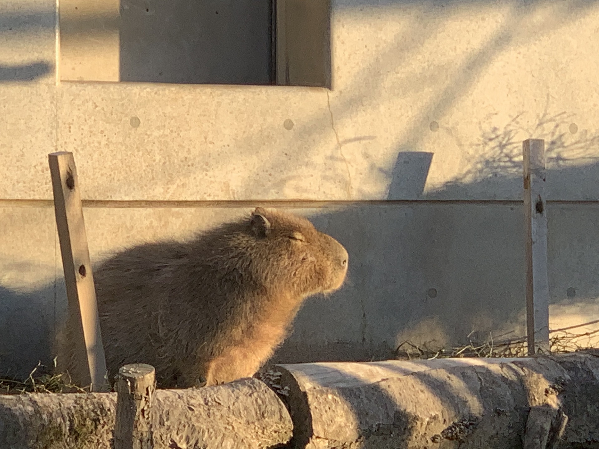 北海道自助遊攻略