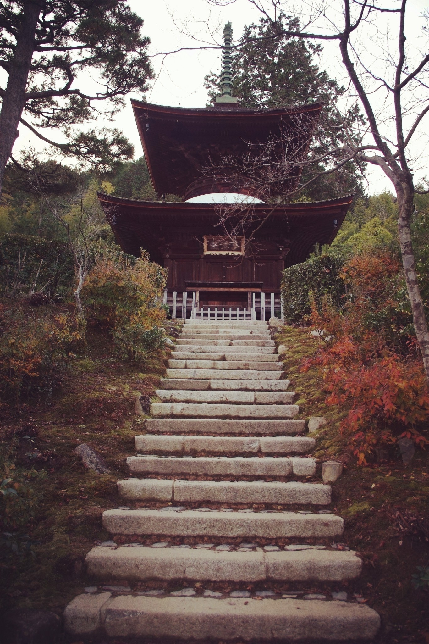 京都自助遊攻略