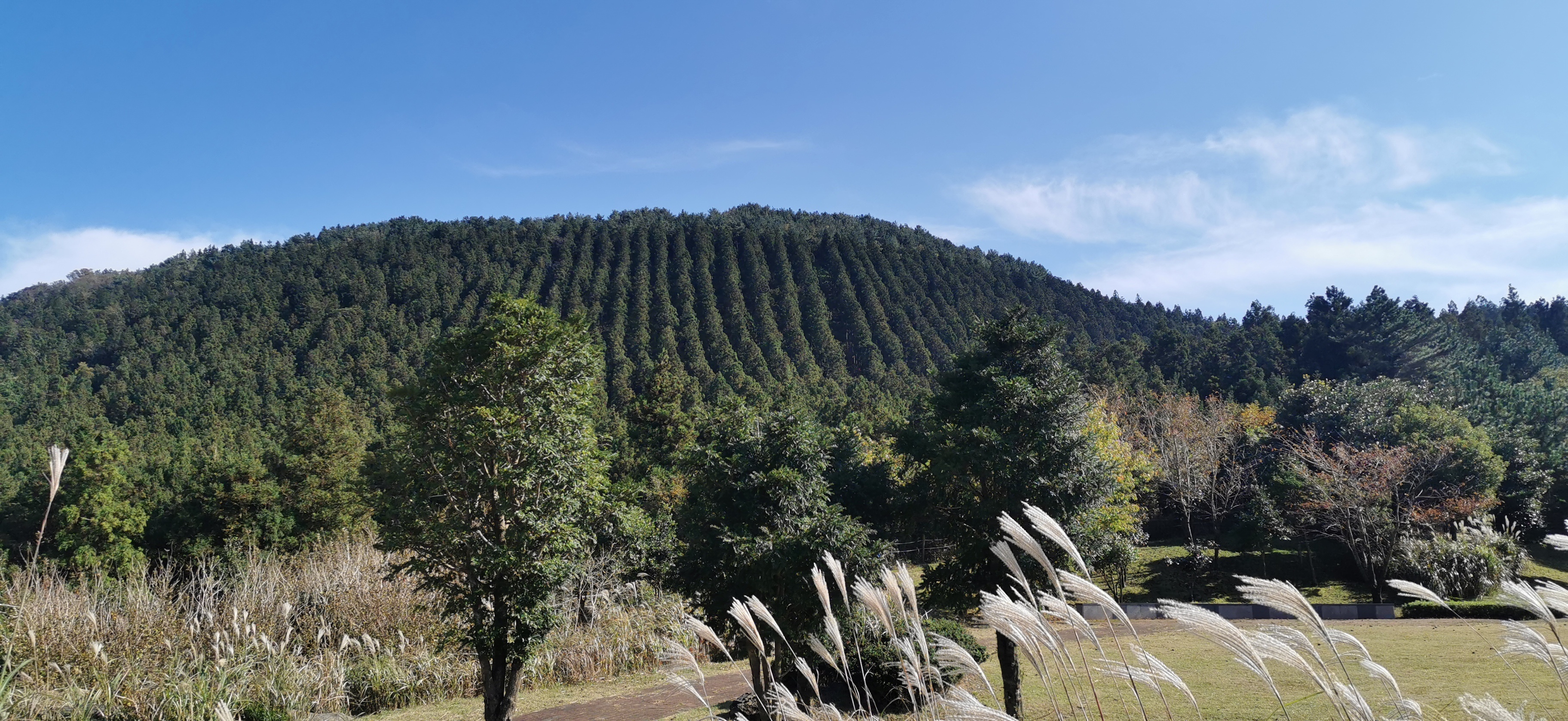 拒文岳熔岩洞窟群攻略 拒文岳熔岩洞窟群门票 地址 拒文岳熔岩洞窟群景点攻略 马蜂窝