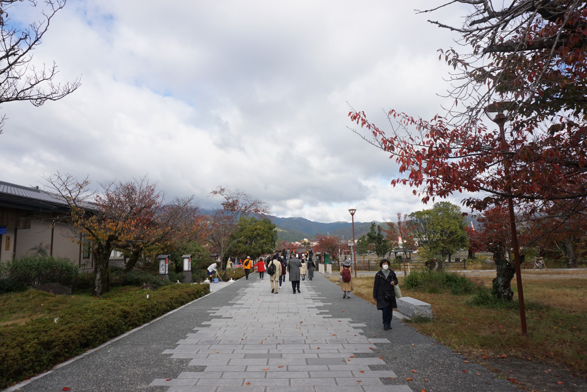 京都自助遊攻略