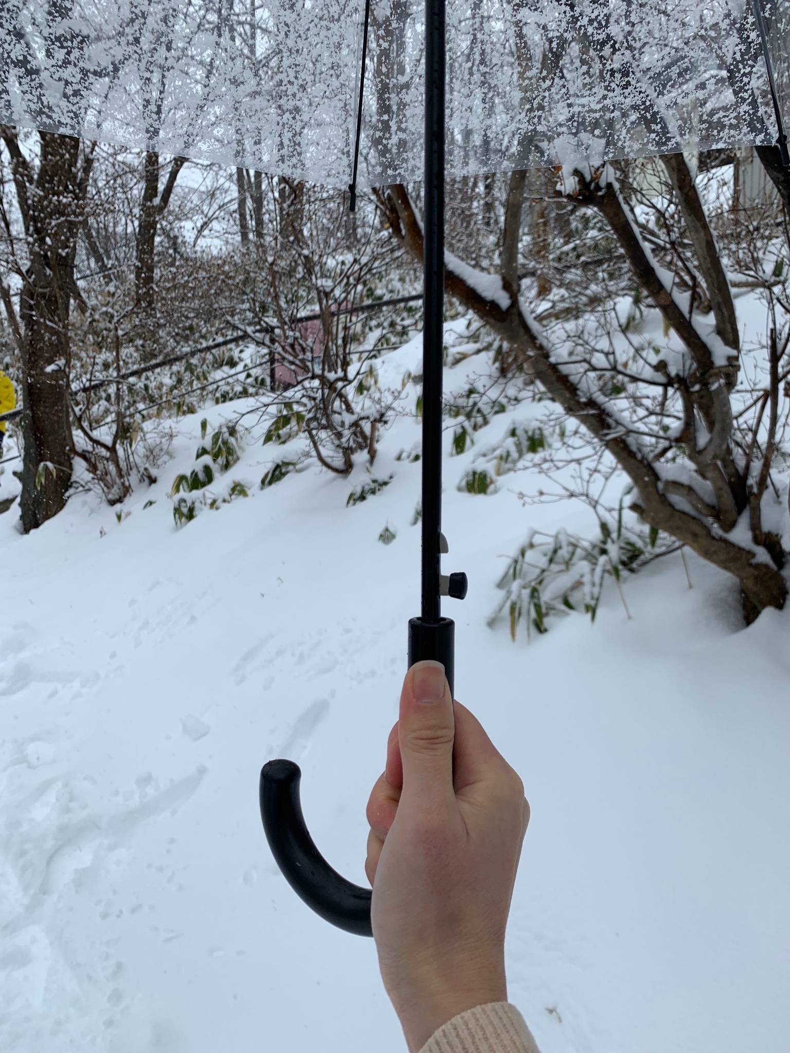 北海道自助遊攻略