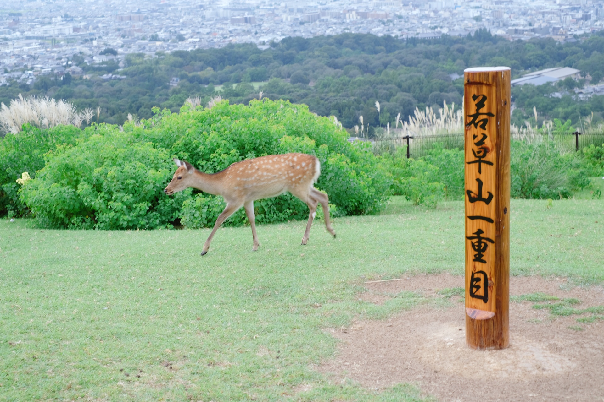 大阪自助遊攻略