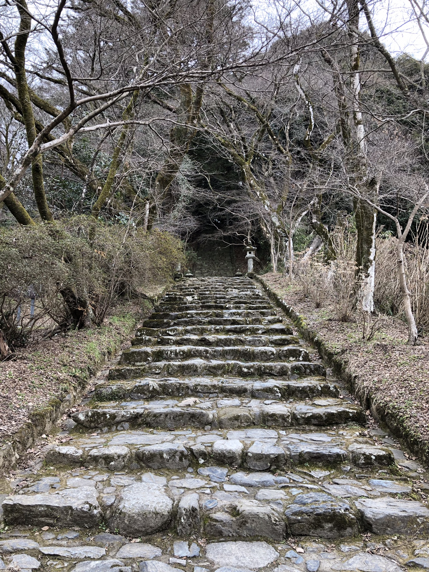 九州自助遊攻略