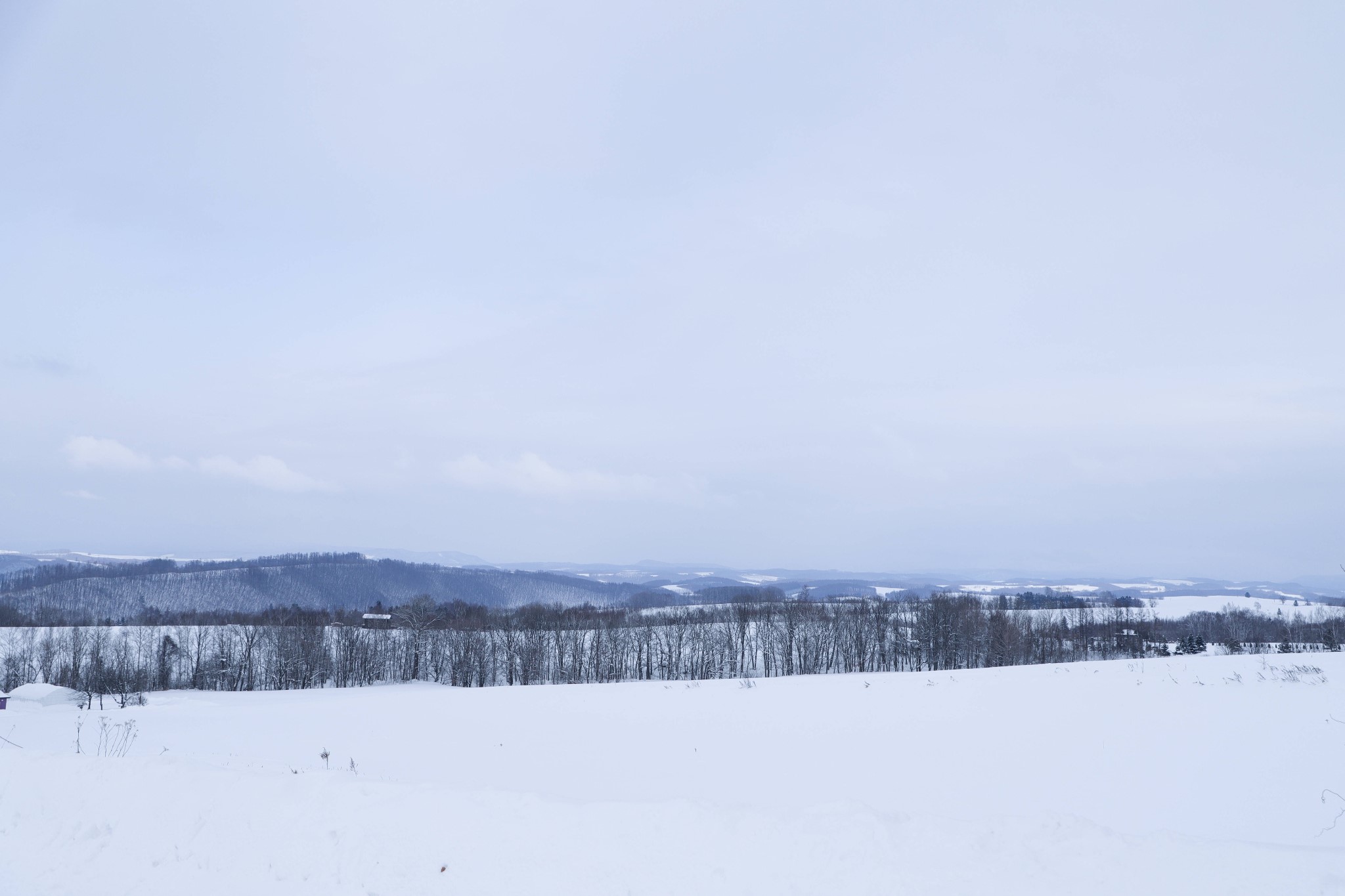 北海道自助遊攻略