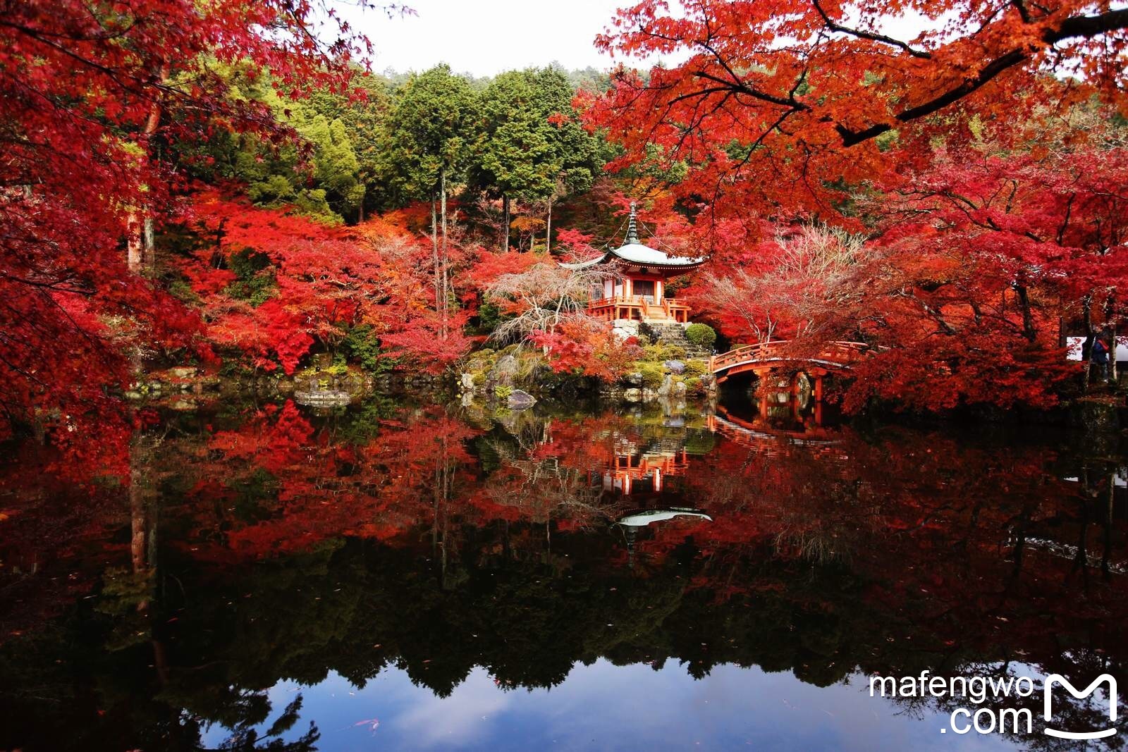 京都自助遊攻略